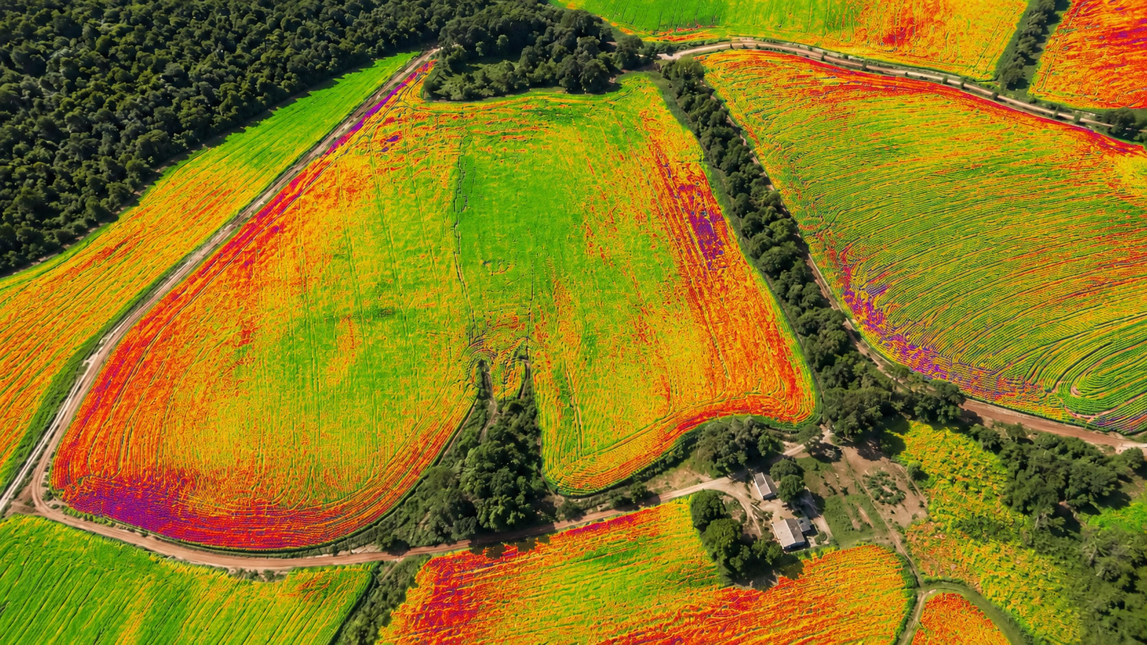 Imagem multiespectral da mesma área agrícola
