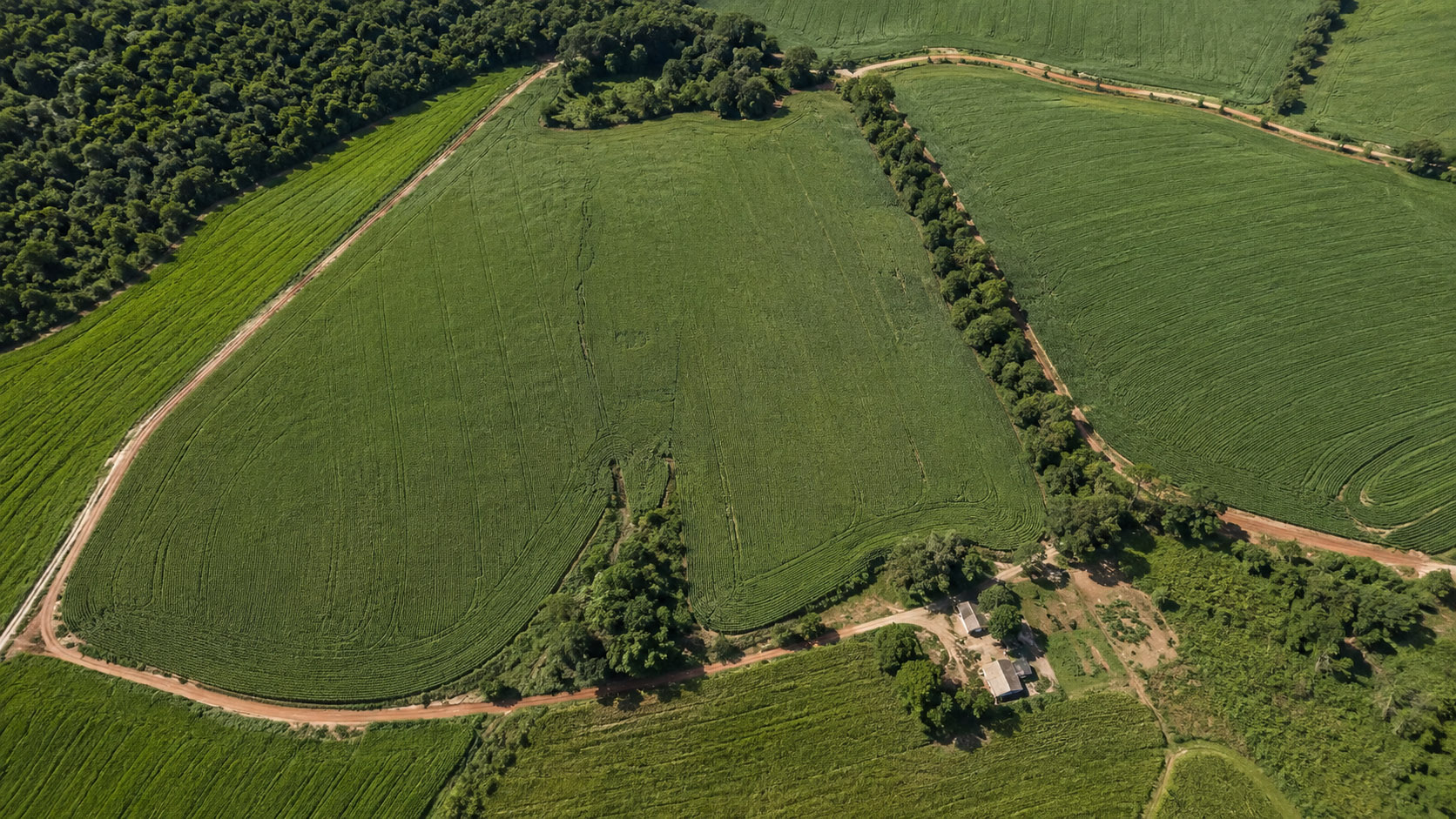 Imagem aérea RGB de área agrícola